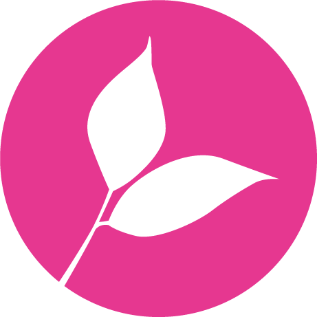 Icon for developing